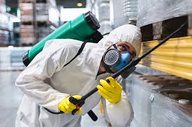 Best Fumigation Services  in Peachtree Corners, GA